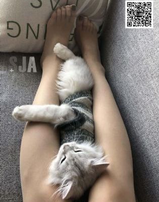 爷们儿电视剧