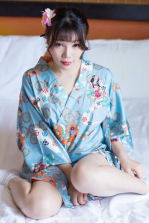 真探秦先生电视剧免费观看全集